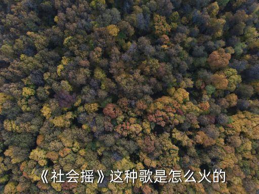 《社会摇》这种歌是怎么火的