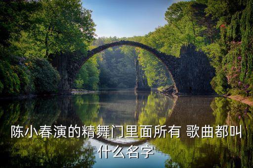 陈小春演的精舞门里面所有 歌曲都叫什么名字