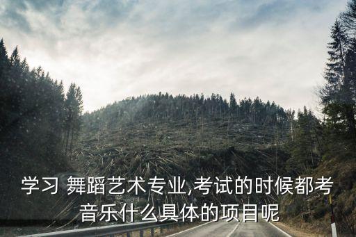学习 舞蹈艺术专业,考试的时候都考 音乐什么具体的项目呢