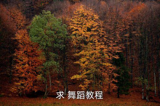求 舞蹈教程