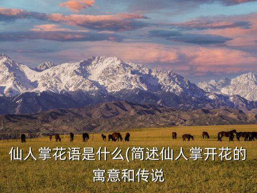 仙人掌花语是什么(简述仙人掌开花的寓意和传说