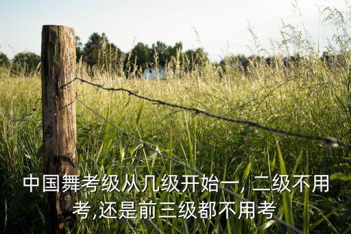 中国舞考级从几级开始一, 二级不用考,还是前三级都不用考