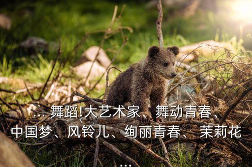... 舞蹈!大艺术家、舞动青春、中国梦、风铃儿、绚丽青春、 茉莉花...