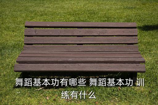  舞蹈基本功有哪些 舞蹈基本功 训练有什么