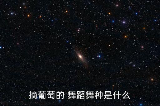 摘葡萄的 舞蹈舞种是什么