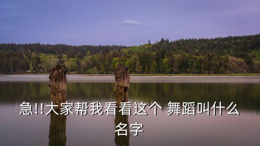 急!!大家帮我看看这个 舞蹈叫什么名字
