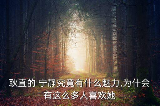 耿直的 宁静究竟有什么魅力,为什会有这么多人喜欢她