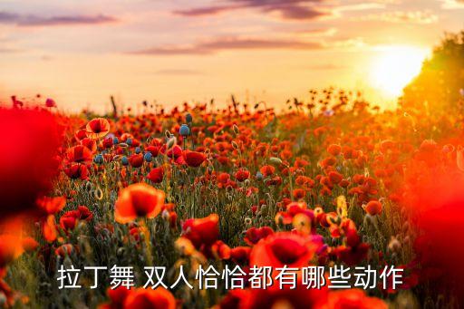 拉丁舞 双人恰恰都有哪些动作