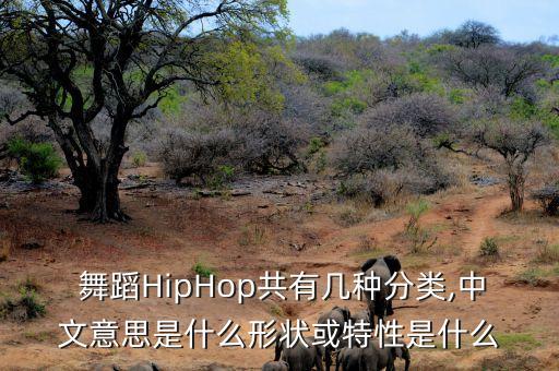  舞蹈HipHop共有几种分类,中文意思是什么形状或特性是什么