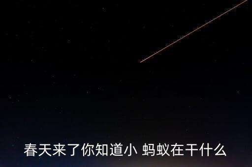 春天来了你知道小 蚂蚁在干什么