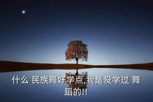 古装舞蹈视频大全民族舞,民族舞幼儿舞蹈视频大全