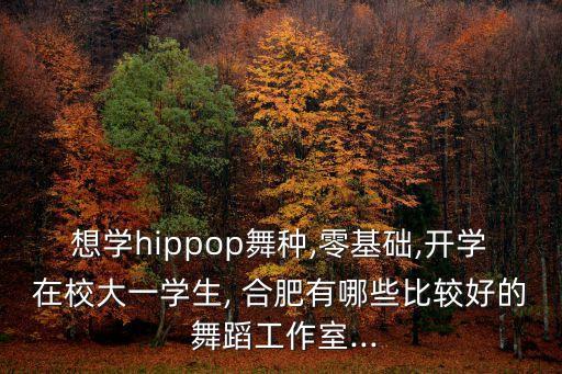 合肥 舞蹈室招聘,合肥舞蹈艺术类高中有哪些