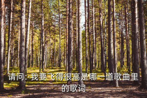 一条大河原版舞蹈