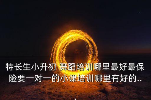特长生小升初 舞蹈培训哪里最好最保险要一对一的小课培训哪里有好的...