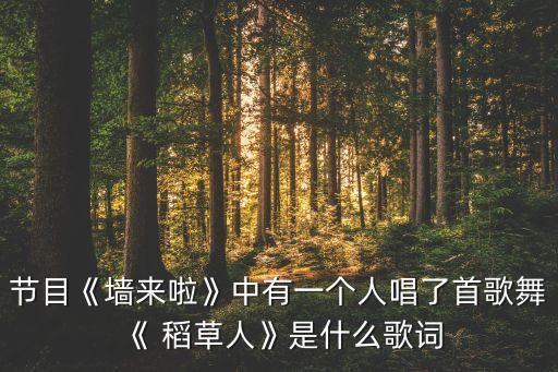 节目《墙来啦》中有一个人唱了首歌舞《 稻草人》是什么歌词