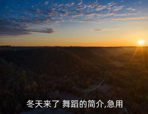  冬天来了 舞蹈的简介,急用