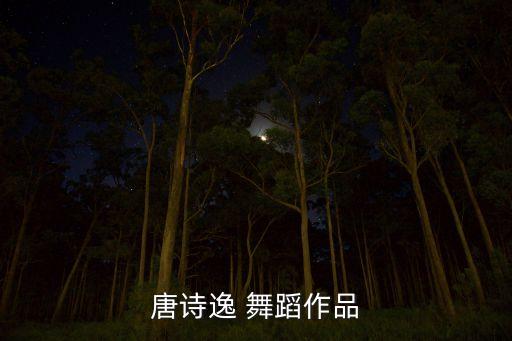 唐诗逸 舞蹈作品