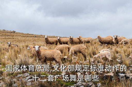 国家体育总局,文化部规定标准动作的十二套广场舞是哪些