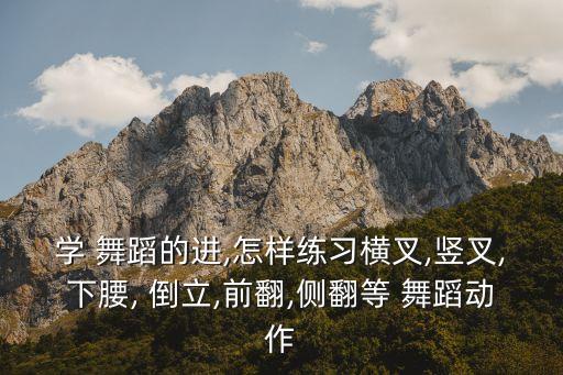 学 舞蹈的进,怎样练习横叉,竖叉,下腰, 倒立,前翻,侧翻等 舞蹈动作