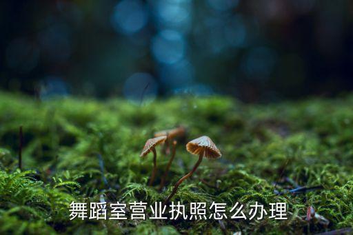  舞蹈室营业执照怎么办理
