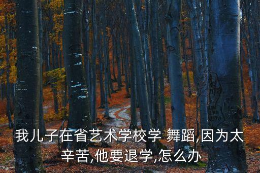 我儿子在省艺术学校学 舞蹈,因为太 辛苦,他要退学,怎么办