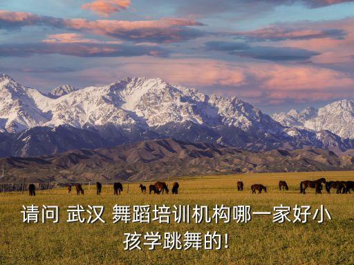 请问 武汉 舞蹈培训机构哪一家好小孩学跳舞的!