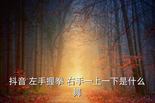 抖音 左手握拳 右手一上一下是什么舞