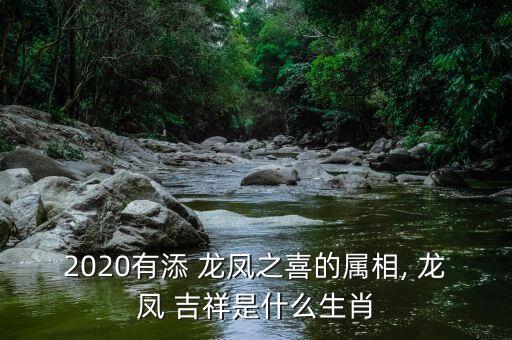 龙凤吉祥舞蹈