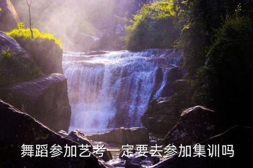  舞蹈参加艺考一定要去参加集训吗