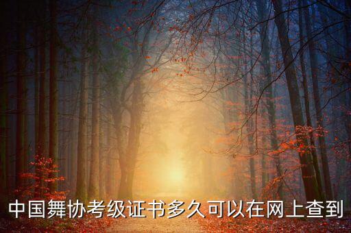 全国舞蹈等级考试查询,舞蹈等级考试证书有用吗