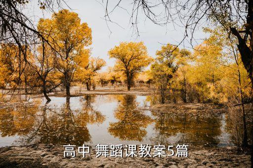 舞蹈教学实践目的,舞蹈专业教学实践