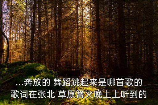 唱起草原的歌舞蹈视频