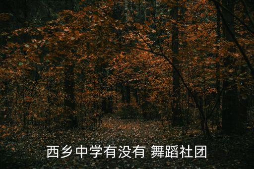 西乡中学有没有 舞蹈社团