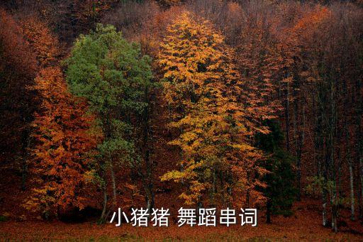 小猪猪 舞蹈串词