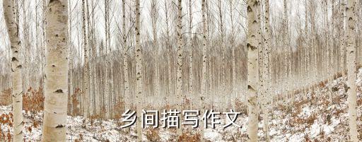 乡间描写作文