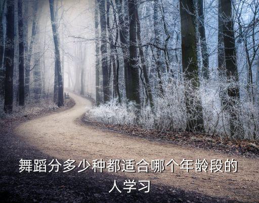 成人学舞蹈芭蕾还是古典舞,古典舞成人零基础舞蹈培训班
