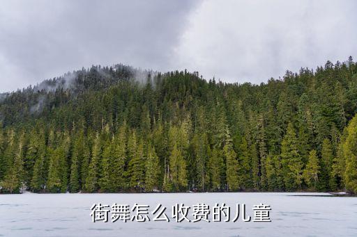 小学生街舞舞蹈,适合小学生跳的街舞的舞蹈视频