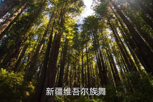 各种手鼓舞蹈大全,朝鲜族手鼓舞蹈视频大全