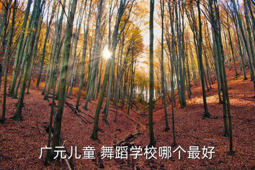 鄱阳小孩舞蹈培训,小孩学舞蹈基础培训主要是哪些