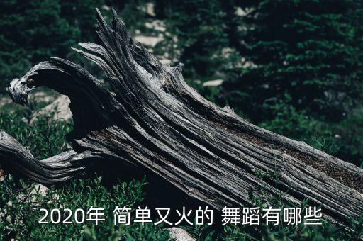 2020年 简单又火的 舞蹈有哪些
