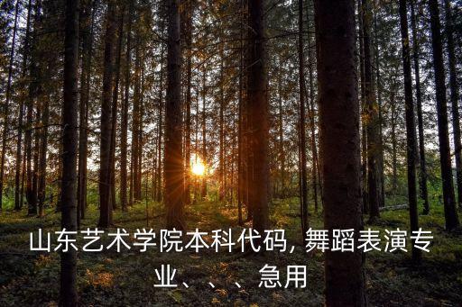 山东艺术学院本科代码, 舞蹈表演专业、、、急用