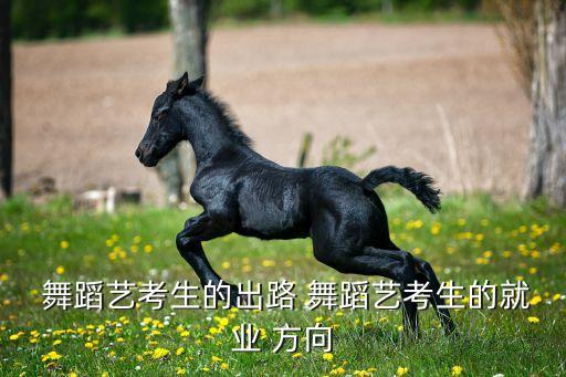  舞蹈艺考生的出路 舞蹈艺考生的就业 方向