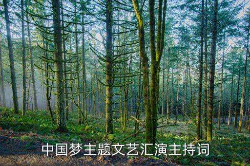 中国梦主题文艺汇演主持词