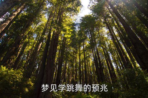  梦见学跳舞的预兆