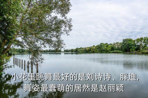  小花里跳舞最好的是刘诗诗、胖迪,舞姿最蠢萌的居然是赵丽颖