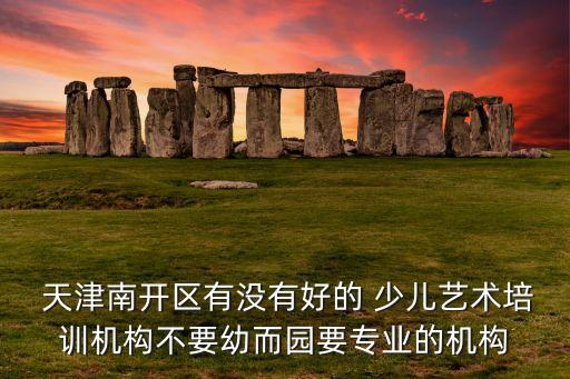  天津南开区有没有好的 少儿艺术培训机构不要幼而园要专业的机构