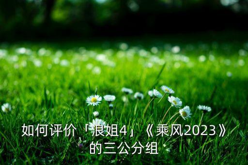如何评价「浪姐4」《乘风2023》的三公分组