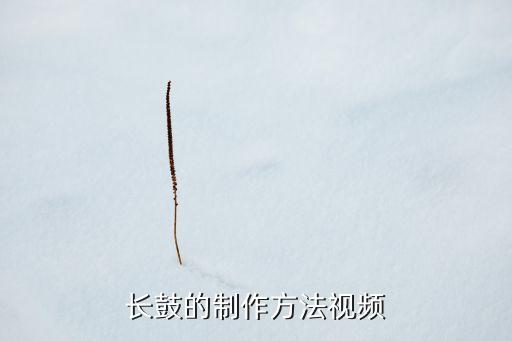 长鼓舞舞蹈視頻,广场舞舞蹈视频