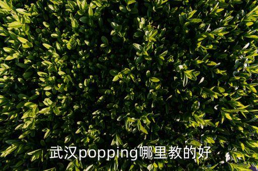  武汉popping哪里教的好