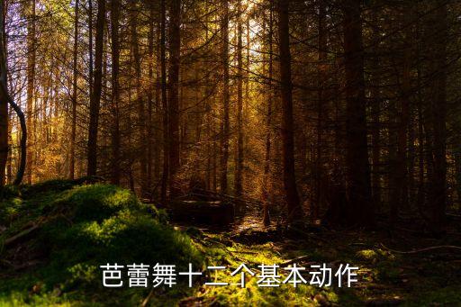 芭蕾舞十二个基本动作
